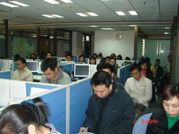 專業賦能，價值共創 廣東美佳聯房地產與土地評估咨詢及房地產經紀服務解析